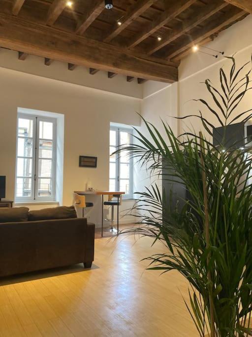 Appartement Centre Historique Albi Zewnętrze zdjęcie
